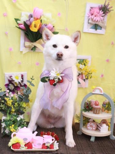 20230321姫花ちゃん